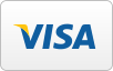 Visa Electron