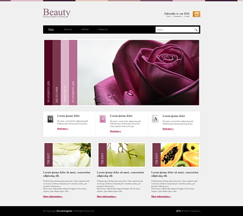 beautywp