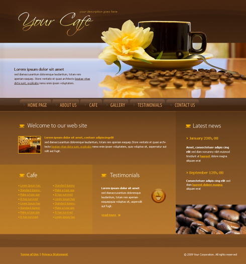 programe web design