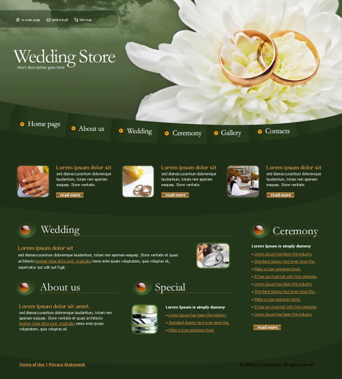 Wedding Rings Web Template 4257