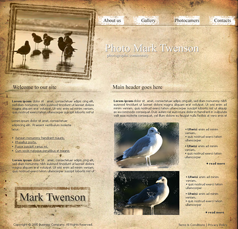 Template e-commerce