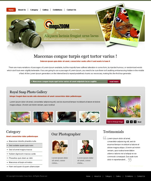 Template e-commerce