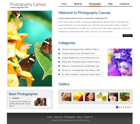 Template petites annonces