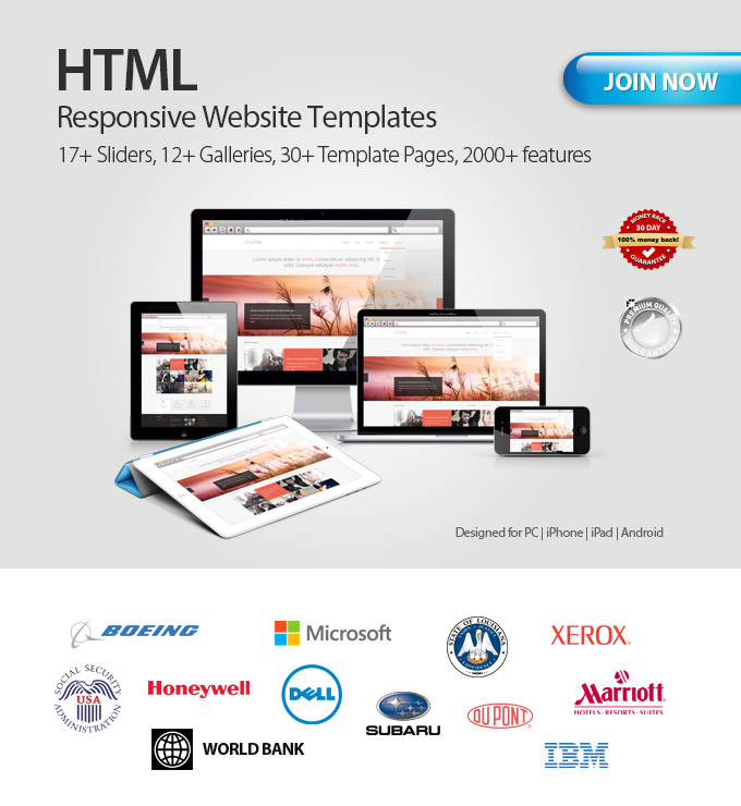 Web Templates For Sale